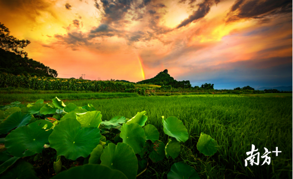 巾峰綠海。成堅(jiān)強(qiáng) 攝