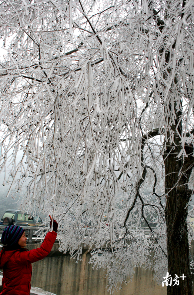 今冬的首場寒潮將于12月29日下午襲擊連州，最冷零下5度，提醒群眾做好御寒準(zhǔn)備。黃津 攝