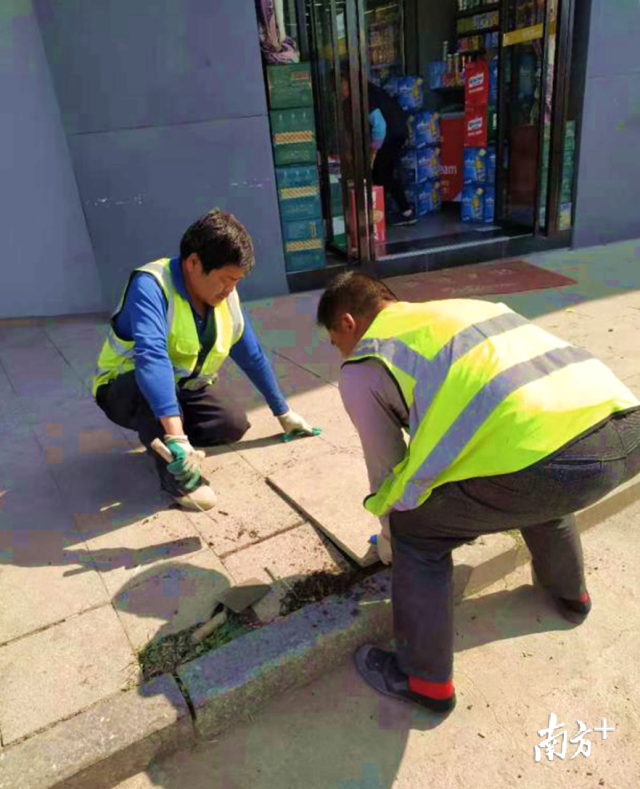 對(duì)北山路、南門(mén)大道等地段損壞路面進(jìn)行修復(fù)。
