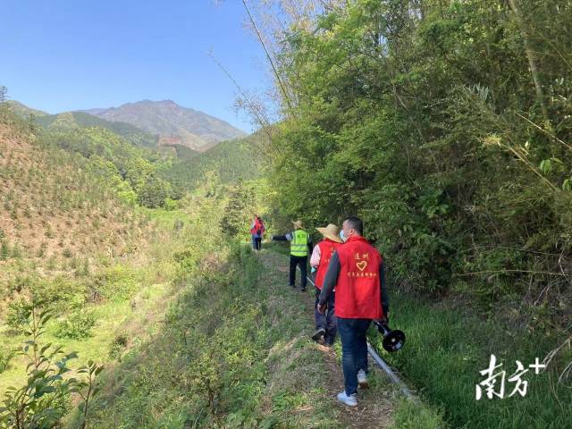 巡山。