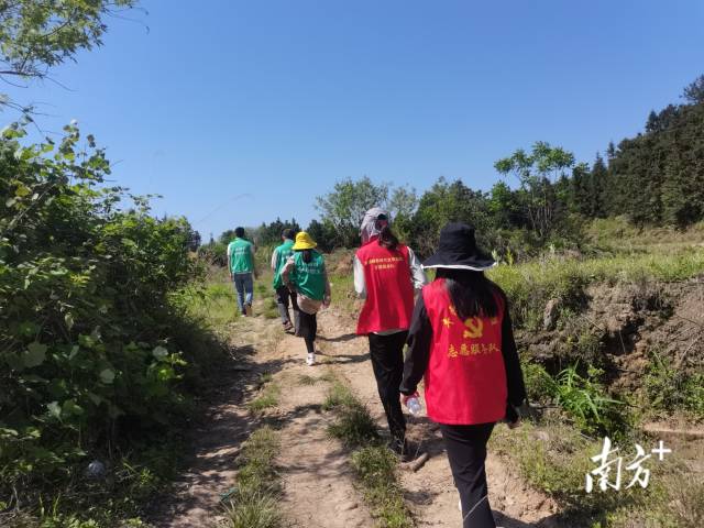 豐陽鎮(zhèn)的440余名黨群志愿者堅守先鋒崗，守護豐陽的綠水青山。