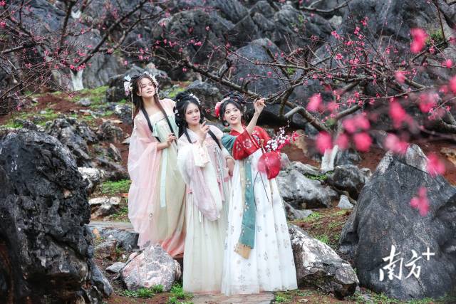 國風(fēng)少女打卡連州桃花季。