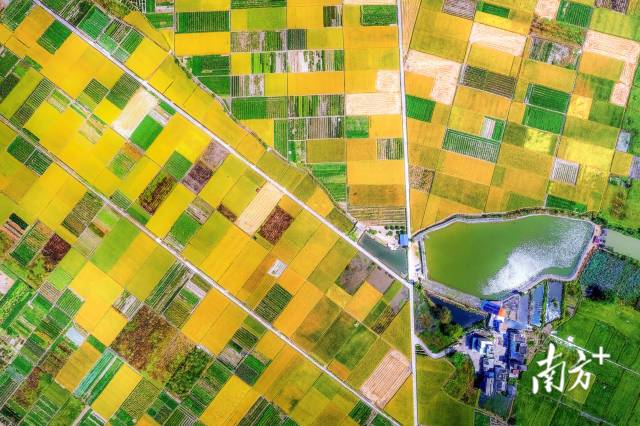 保安鎮(zhèn)立足資源優(yōu)勢擦亮“富硒小鎮(zhèn)”名片。黃月明 攝