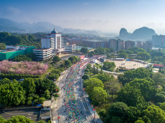 花徑瑤馬，綠美連南。賴文鋒 攝